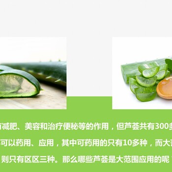 芦荟保湿补水系列护肤产品OEM生产