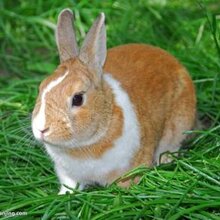 1525770457037125900-0.jpg@1e_1c_220w_220h_90Q.jpg