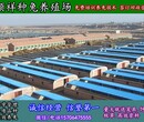 贵州野兔仔散养基地图片