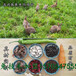 广西柳州烤兔培训技术价格先品尝在学习