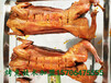 亳州烤兔技术培训专业餐饮创业