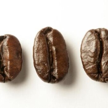 多米尼加咖啡豆进口代理报关报检具体流程分析