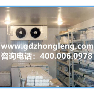 广州冷库价格小型冷库提供免费报价中冷制冷图片2