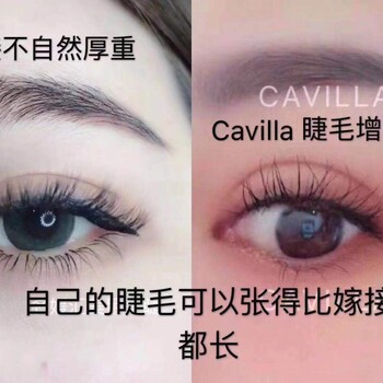 卡维拉董事揭秘：cavilla−−卡维拉代理！