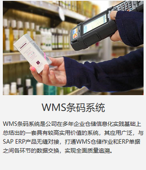 生产企业基于SAPB1的WMS行业解决方案实施商中科华智