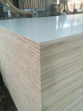出售批發細木工板材密度板模板生態板免漆板膠合板圖片