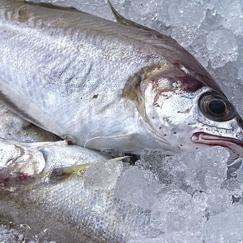 一般贸易进口海鲜食品流程是什么样的广州报关公司