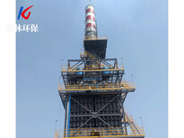 科林环保湿式除尘器电除尘器静电除尘器厂家图片5