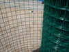 供应浸塑铁丝电焊网养殖围栏网PVC涂塑电焊网来样定制