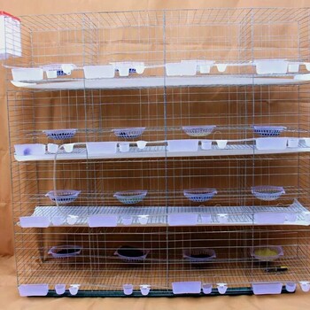 鸽子笼现货厂家供应镀锌加粗加密四层16位肉鸽养殖笼，观赏鸽笼及配件。