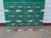 鸽子笼现货河北厂家批发零售三层四层肉鸽养殖笼配对笼斑鸠笼。