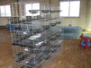 厂家直销横拉门百鸽笼批发四层16位鸽子笼肉鸽养殖笼。