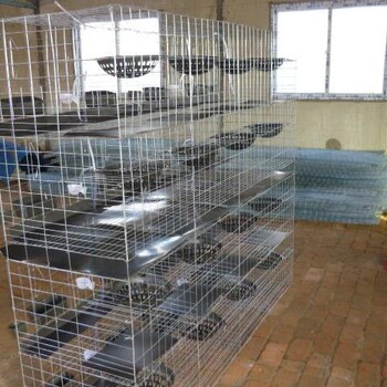 厂家横拉门百鸽笼批发四层16位鸽子笼肉鸽养殖笼。