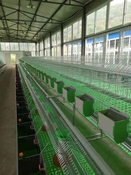 重庆兔笼哪里有卖的兔笼多少钱厂家3层子母兔笼4层24位商品兔笼