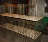 标准生产兔笼养殖3层129位商品笼无底竹板塑料板子母笼