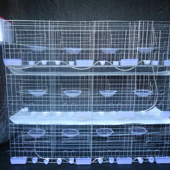 盟鹏牌鸽笼采用于Q235低碳钢丝镀锌防锈养殖肉鸽