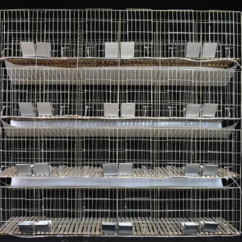 兔笼商品养殖笼兔子笼子大型特大号12位子母三层24位家用养兔子的