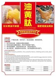 老母鸡长黄油/省料/长毛/长脚蹬子/冠红毛亮/催肥增重油黄肽图片0