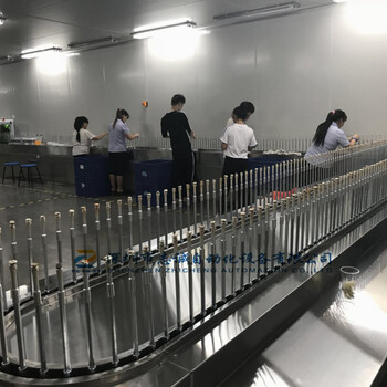 武汉自动喷油线uv喷漆设备自动喷涂拉-无尘喷油流水线
