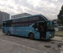 泰兴到湛江的直达客车欢迎您图片