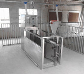 种猪测定系统全自动种猪生产性能测定系统养猪专用设备质量保证河南南商农科