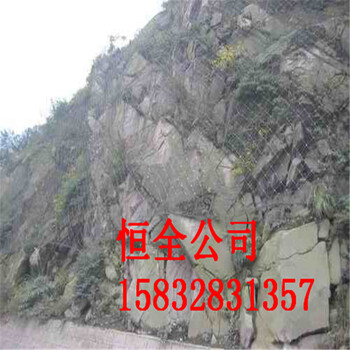 邊坡防護網直接廠家A山芋邊坡防護網直接廠家A邊坡防護網直接廠家批發(fā)