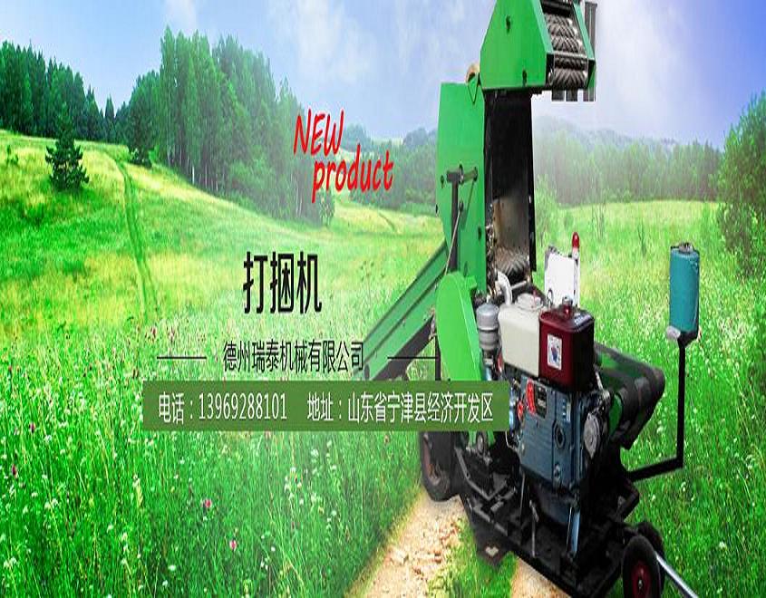 山东德州瑞泰机械有限公司