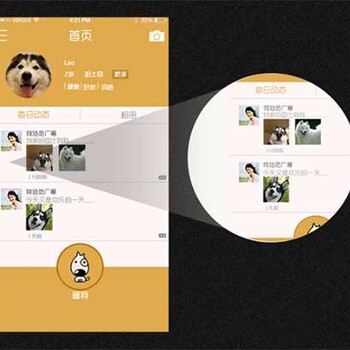 遛狗APP开发公司