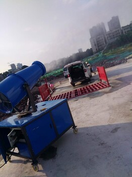 广安平板式自动洗车平台