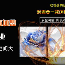 壁画电暖器A碳纤维电暖器A总部全程扶持图片