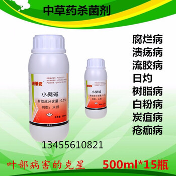 怎樣快速有效防治沃柑潰瘍病