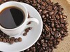 广州进口咖啡豆咖啡粉的费用