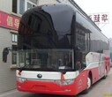 （从汕头到安阳卧铺汽车）151-5142-5645图片