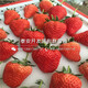 50da81cb39dbb6fd778a60710f24ab18962b3797