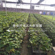50da81cb39dbb6fd778a60710f24ab18962b3797