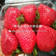 50da81cb39dbb6fd778a60710f24ab18962b3797