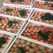 日本99草莓苗、日本99草莓苗出售价格多少