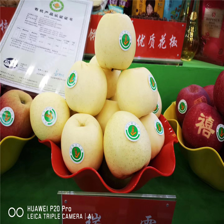 紅嘎啦蘋(píng)果苗、紅嘎啦蘋(píng)果苗新品種