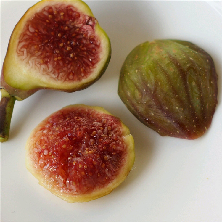 波姬紅無(wú)花果苗價(jià)格、波姬紅無(wú)花果苗批發(fā)