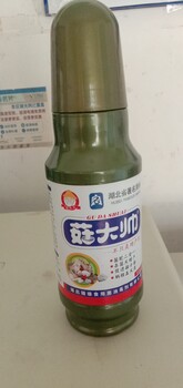 菇大帅竹荪香菇各种食用菌增产剂