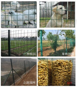 广东荷兰网养鸡用的铁丝网围栏一卷大概多少钱,1.5米1米8高围栏。佛山铁丝网生产厂家