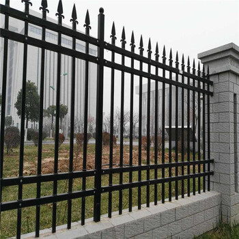 广东佛山护栏厂，民用庭院栅栏，辣椒园户外铁围栏，黑色钢质别墅围栏