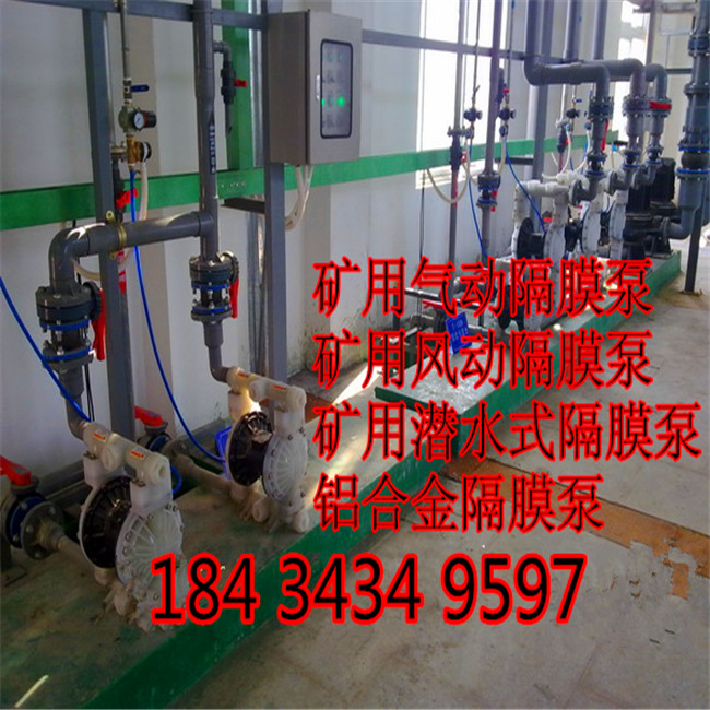 安徽宣城BQG-190/0.2气动隔膜泵操作简单