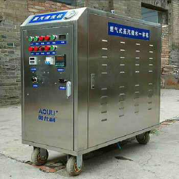 奥尤利燃气高压蒸汽洗车机设备节约环保