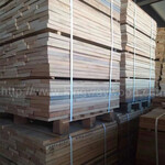 金威木业欧洲榉木直边板地板料中长料实木木板25mmA级土豪级家具材