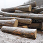 德国金威木业欧洲进口实木白蜡木AB级原木锯切板材木板蜡木水曲柳
