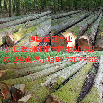 德国金威木业进口木材欧洲材红橡木原木木料板材实木橡木ABC级原材料批发