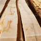 德国金威木业进口欧洲木材实木白蜡木蜡木木板材毛边板FSC木料木方批发