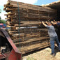 德国金威木业欧洲白腊蜡木实木板毛边板板材白蜡木ABC级月供40柜