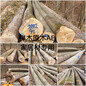 德国金威木业欧洲榉木原木榉木实木德国榉木AB木材